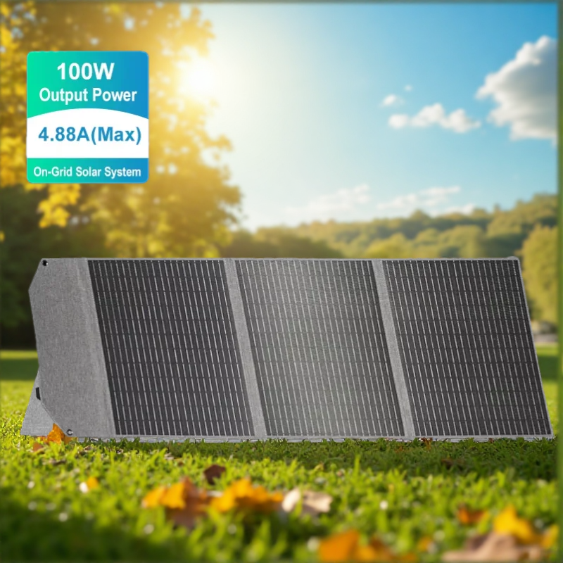 100W Foldable Solar Panel SP10 - Solar Emergency Charger reseña y precio