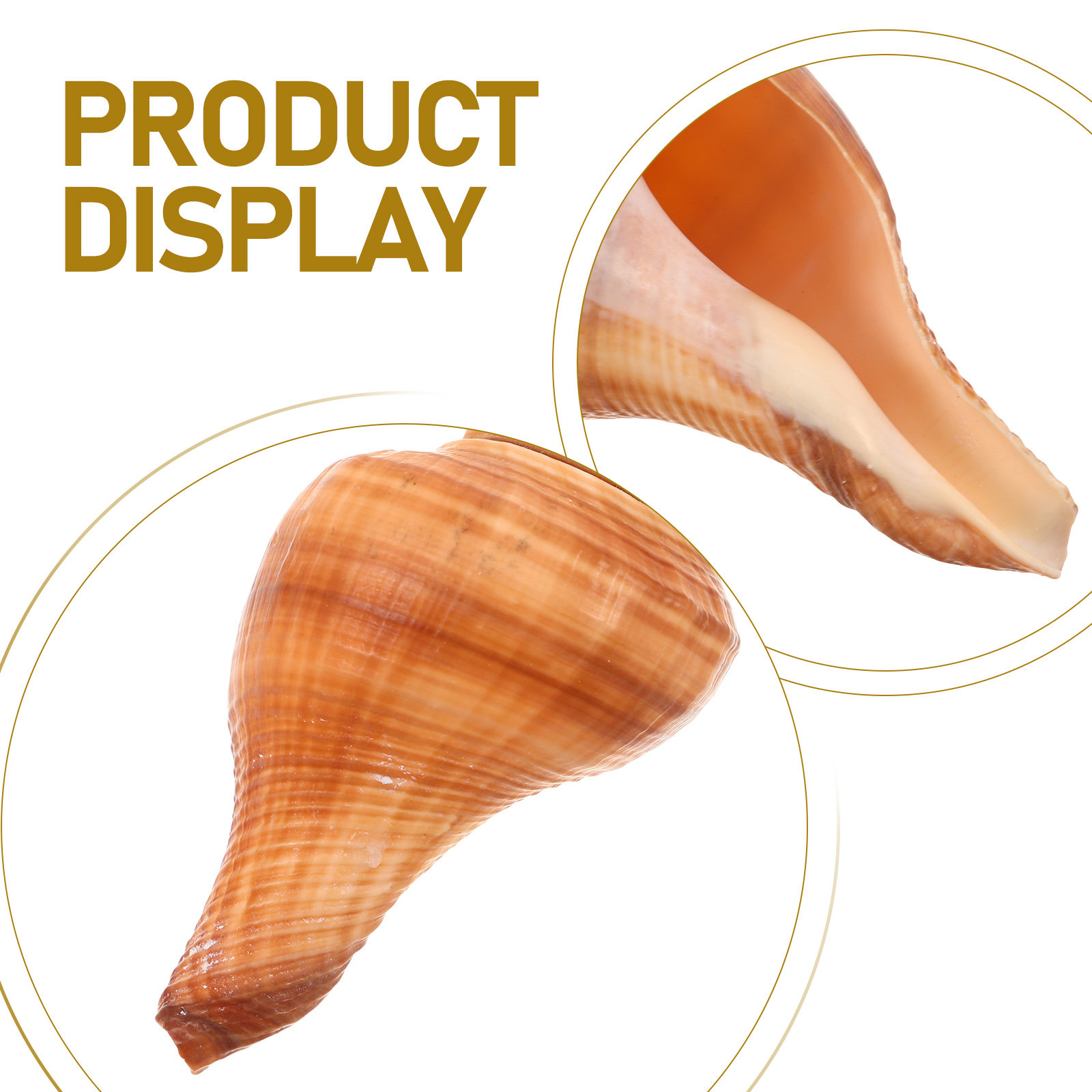 5Pcs Natural Conch Shell Whist - Emergency Whistle Loud reseña y precio